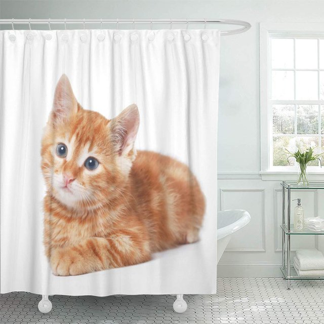 Cortina de Ducha ABPHQTO Naranja Adorable Lindo Bebe Gatito Rojo Blanco Amarillo 160x180 cm