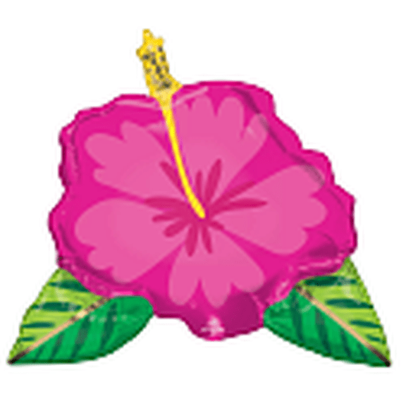 LRG SHP BEAUTIFUL TROPICAL HIBISCUS