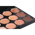 thumbnail image 2 of 15 Colors Professional Foundation Concealer Highlight Contour Cream Palette, 2 of 3