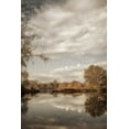 thumbnail image 2 of Poinski, Dianne 13x18 Gold Ornate Wood Framed with Double Matting Museum Art Print Titled - Reflect 2, 2 of 4
