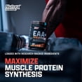 thumbnail image 4 of Nutrex Research EAA Hydration | EAAs + BCAA Powder | Muscle Recovery, Strength, Endurance | 8G Essential Amino Acids + Electrolytes | Blood Orange, 4 of 9