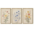 thumbnail image 3 of Drsoum Flower Wall Decor 11x14in3pcs Natural Framed Colorful Botanical Pictures Art Bathroom Home Office, 3 of 6