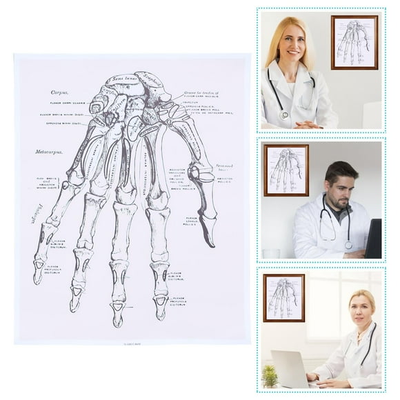 KAKOWELY 1Pcs Anatomy Poster Multi Colored Wall Art for Educational Use 50.0x40.0in