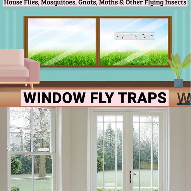 10 Uds fuerte trampa de pegamento para moscas pegatina para insectos ventana moscas insectos Catcher (transparente)