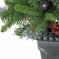 thumbnail image 4 of 2 ft. Crestwood® Spruce Porch Bush with Twinkly™ LED Lights, 4 of 5