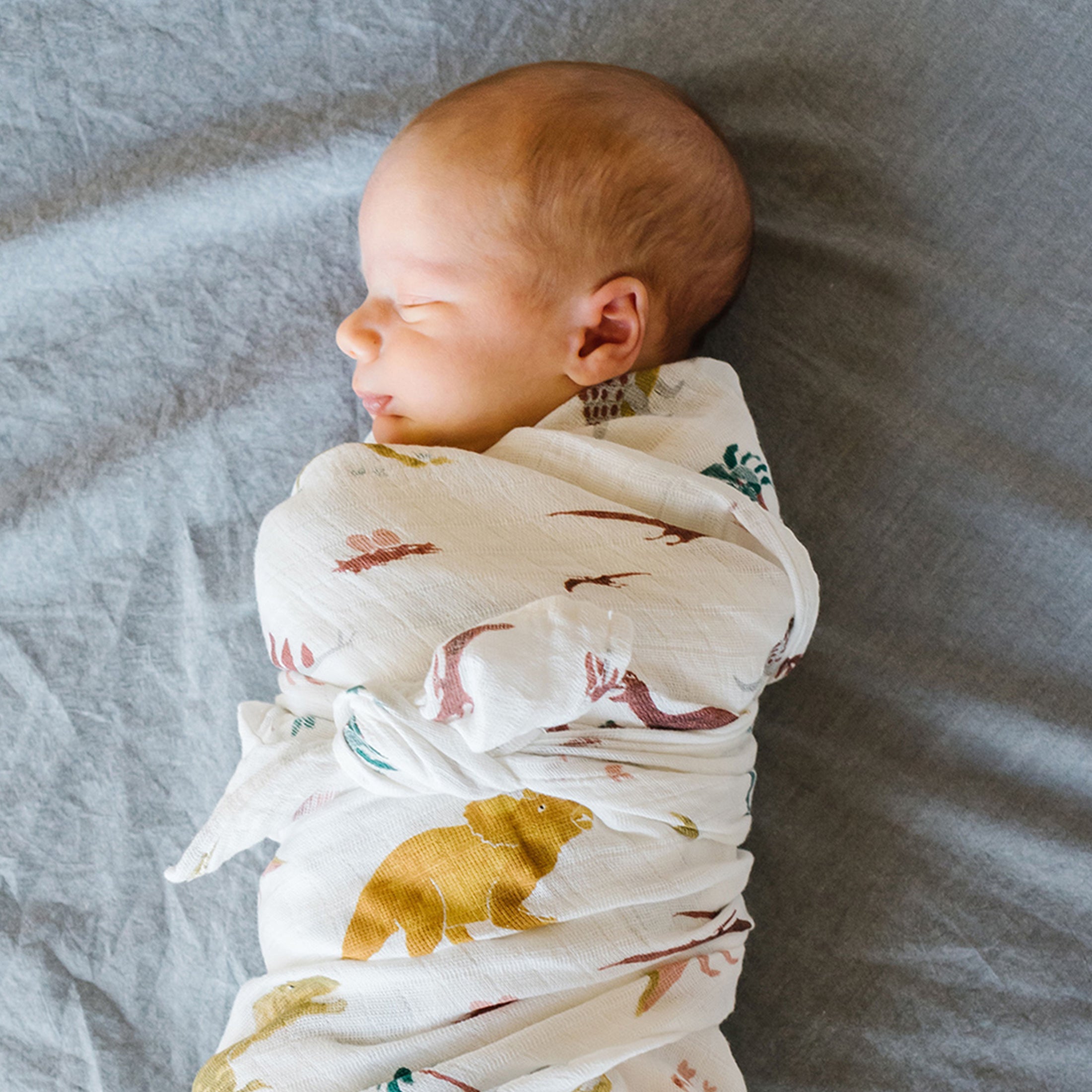 Red Rovr 100% Organic Cotton Muslin Swaddle Infant Blanket 2 Pk, Unisex, Dino Days