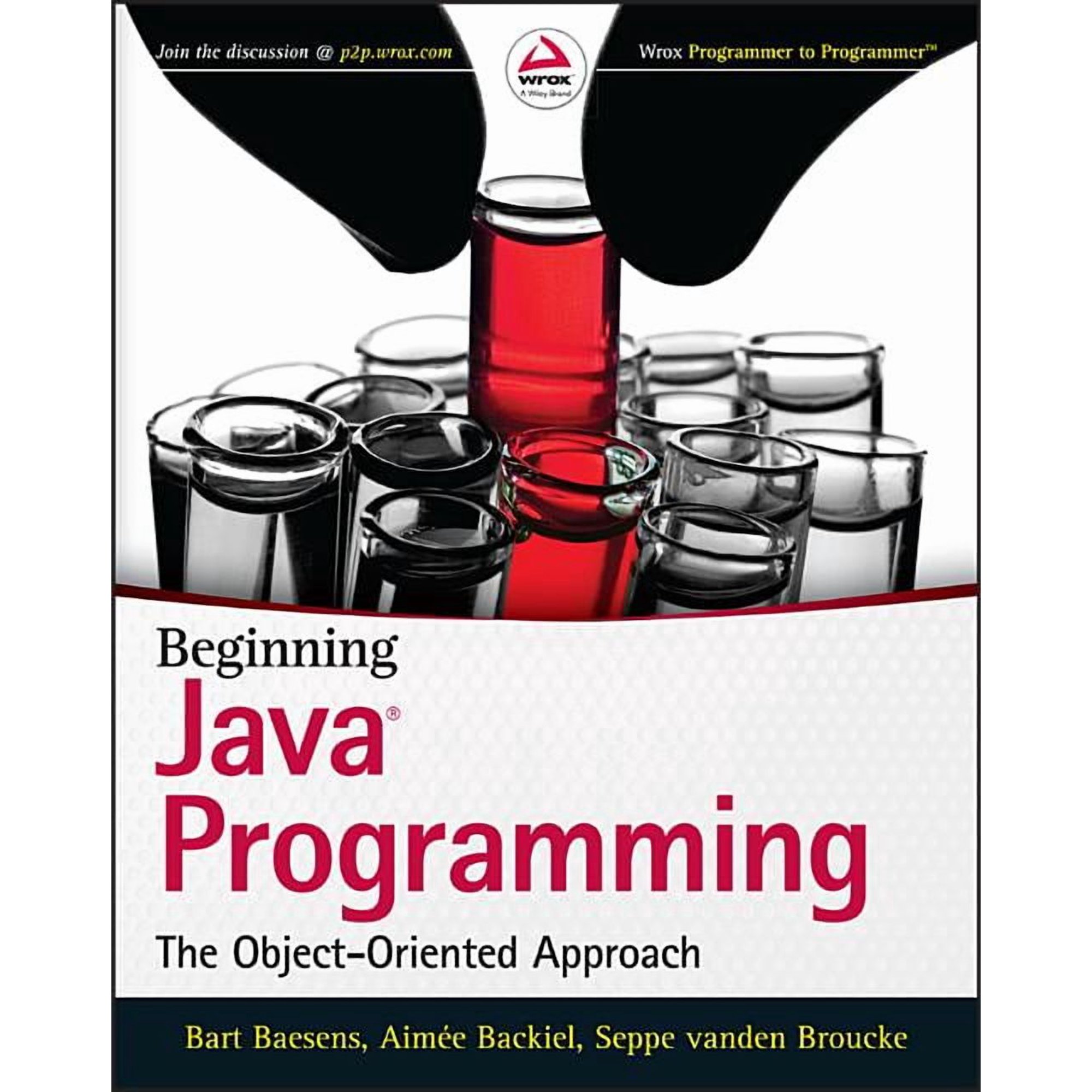 Beginning Java Programming: The Object-Oriented Approach (Paperback)