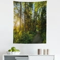 thumbnail image 1 of Nature Tapestry, National Park in Cape Breton Highlands Canada Forest Path Trees Tranquility Photo, Fabric Wall Hanging Decor for Bedroom Living Room Dorm, 5 Sizes, Blue Green, by Ambesonne, 1 of 1