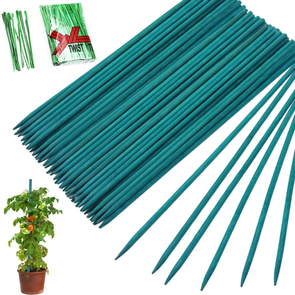 BetterJonny 100 Pcs Piquets de Soutien pour Plantes avec 100 Pcs Attaches - Bâtons de Bambou de 15,7 Pouces pour Plantes en Pot d'Intérieur, Boutique de Fleurs à Domicile Ga