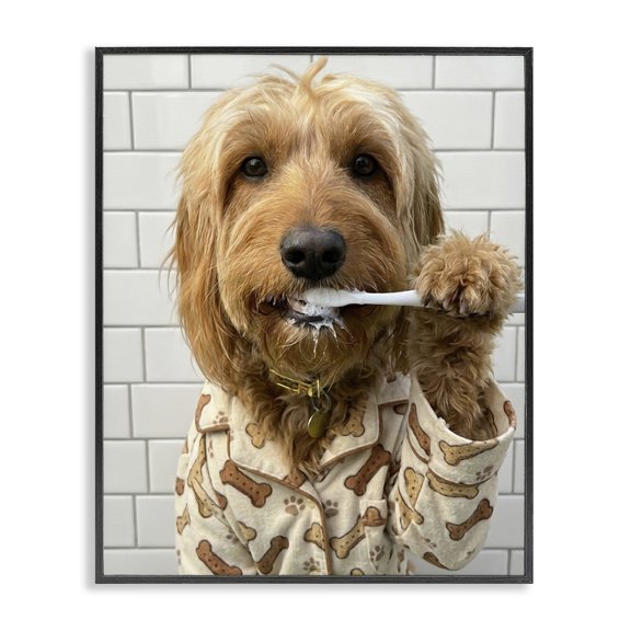 Stupell Industries Bohemian Realistic Dog Brushing Teeth Black Framed Giclee Art, 11 x 14, by Abigail Walker