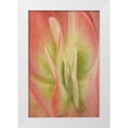 thumbnail image 1 of Murdock, Ramona 17x24 White Modern Wood Framed Museum Art Print Titled - Kalanchoe Luciae Succulent, 1 of 4