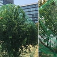 thumbnail image 4 of pitrice Anti-bird Net Garden Fruit Farm Anti Bird Mesh Net Orchard PE Netting Plants Protection, 4x10m, 4 of 7