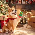 thumbnail image 4 of Pet Supplies Socks For Cats And Dogs Holiday With Greeting Card, 4 of 4