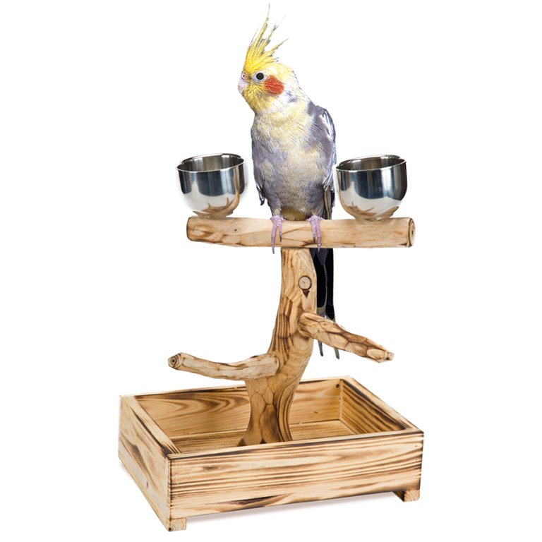 Penn-Plax Bird-Life Natural Wood Tree Perch – Large – 19” Height, Brown 