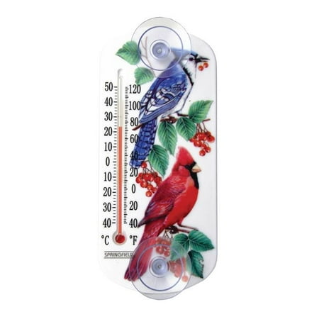 - Springfield 90151-000-000 Decorative Thermometer with Clear Tube