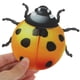 thumbnail image 5 of AURARMLET 3Ud Metal Ladybug Para Pared Interior Y Exterior De Hierro Duradero, 5 of 6