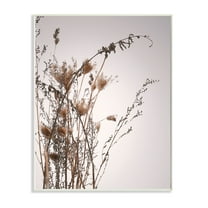 Stupell Industries Autumn Thistles in the Sky Neutral Brown Beige Wall Plaque, 13 x 19, Design by Design Fabrikken