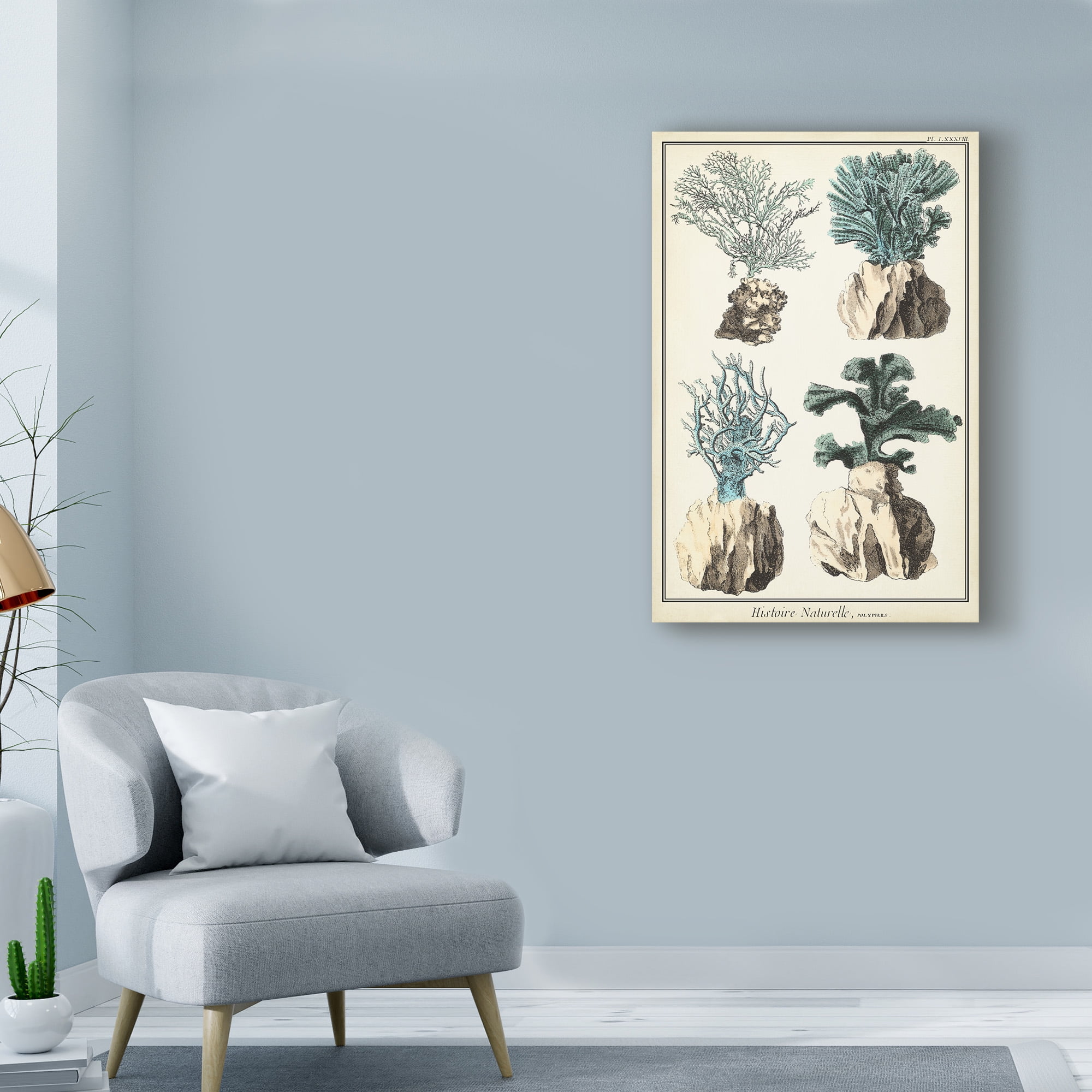 Trademark Fine Art 'Coral Species III' Canvas Art by Vision Studio