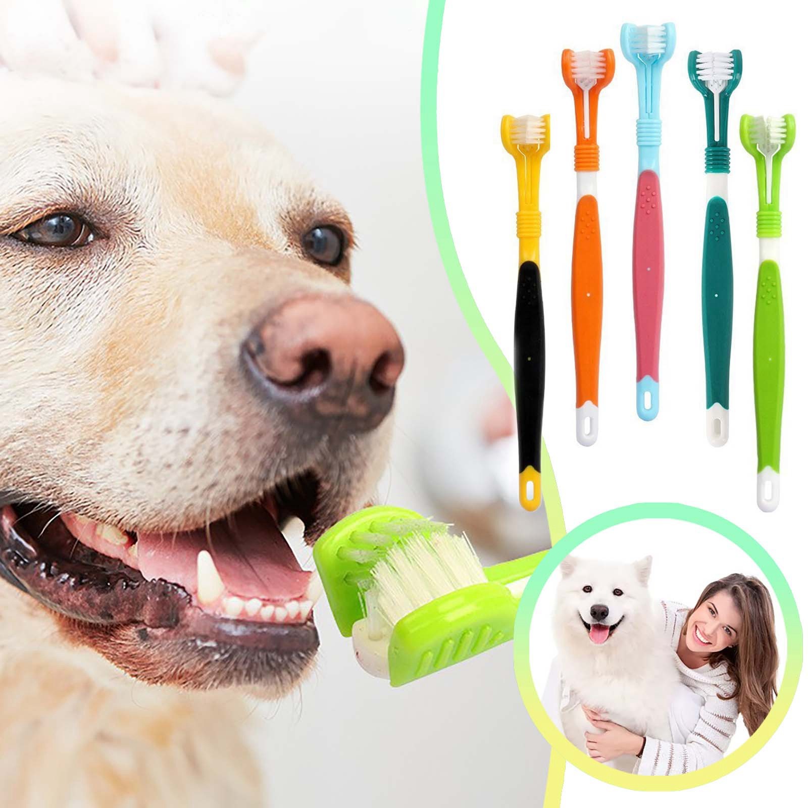 Homemade Toothpaste How To Brush A Dog's Teeth Without Dog