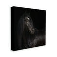 thumbnail image 4 of Stupell Industries Elegant Black Stallion Animals & Insects Photography Gallery Wrapped Canvas Art Print Wall Art, 30 x 30, 4 of 8