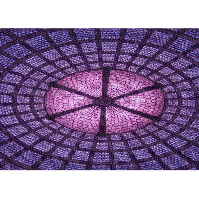 Ahgly Company Tapis d'Intérieur Lavables en Machine Rectangle Transitionnel Violet Iris Violet, 8' x 10'
