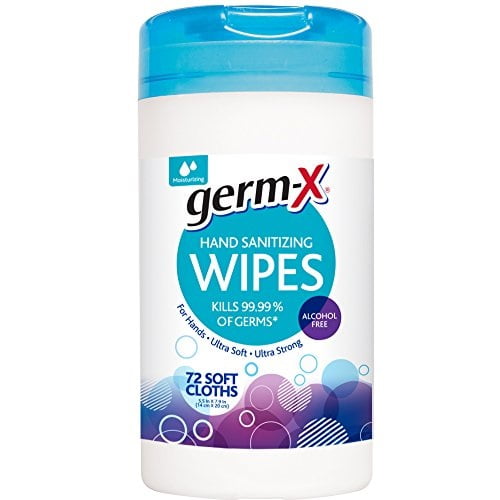 GermX AlcoholFree Hand Sanitizing Wipes, Moisturizing Soft Cloths, 72 Count BrickSeek
