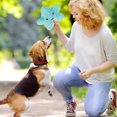 thumbnail image 4 of Dog Interative Star Shaped Squeaky For Cat Teaser Soft For Dogs Puppy Training Pet Toys, 4 of 4