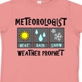 thumbnail image 4 of Inktastic Meteorologist Weather Prophet Boys or Girls Toddler T-Shirt, 4 of 5