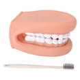 thumbnail image 2 of Marioneta de mano con Boca ANGGREK Herramienta Educativa Móvil 28 Dientes, 2 of 7