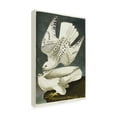 thumbnail image 3 of Trademark Fine Art John James Audubon Iceland or Jer Falcon Canvas Wall Art - 22x32, 3 of 5