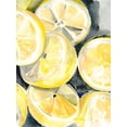 thumbnail image 2 of Parker, Jennifer Paxton 19x24 White Modern Wood Framed Museum Art Print Titled - Lemon Slices II, 2 of 4