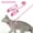 C - Pink, variant on Cat Harness and Leash for Walking Escape Proof Plaid Design Cat Harhess