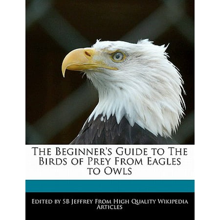 The Beginner's Guide to the Birds of Prey from Eagles to