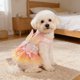 thumbnail image 4 of Vestido para perros y gatos con diseño de mariposas y arcoíris, malla ligera, adecuado para mascotas pequeñas a grandes, color rosa, incluye falda., 4 of 6