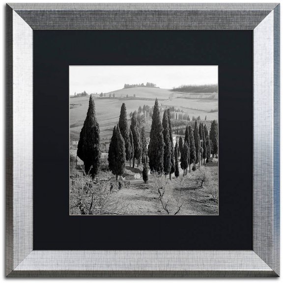 Trademark Fine Art "Tuscany IV" Canvas Art by Alan Blaustein, Black Matte, Silver Frame