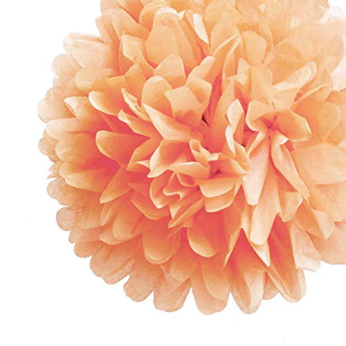 12 inches Set of 5 Orange Tissue Paper Pompoms Hanging Flower Balls Wedding & Party Decoration 