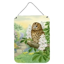 Carolines Treasures ASA2101DS1216 Tawny Owl Wall or Door Hanging Prints 12WX16H multicolor