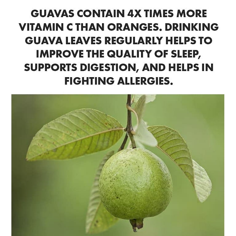Boiled Guava Leaves Benefits