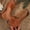 Brown, variant on Women's Floral Applique Perforated Wedge Slide Sandals,Fish Mouth Open Toe Slip-On Comfort Mules for Summer Red 10.5