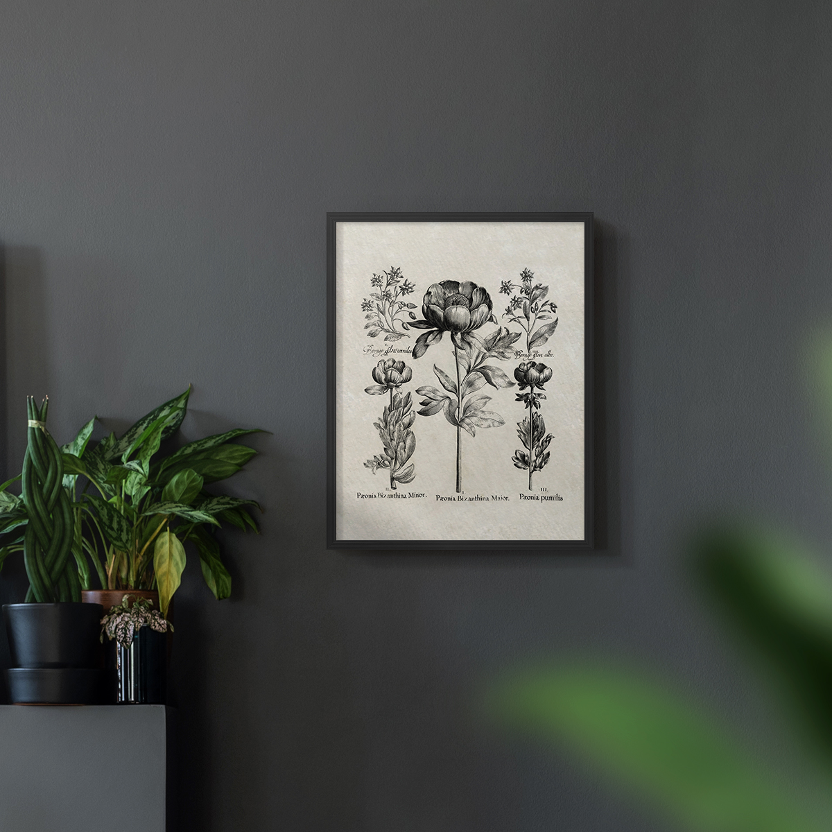 Vintage Floral Print CCCXXVIII - 14in. x 11in. Vintage Framed Print in Black Wood Frame