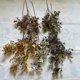 thumbnail image 5 of Gwong Decoración hogareña 1 PC DIY HOJA ARTÍFICA ARTÍFICA EQUIPAS EXPEZADA FAUX FLOR DE SILIDO COMPRANZAMIENTO Floral Planta de simulación Decoración del hogar Gwong 21073620, 5 of 6