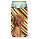 thumbnail image 1 of Vizsla Candy Cane Holiday Navidad Tall Boy Bebida Aislador Bebida Aislador Hugger, 1 of 1
