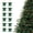 Green, variant on HOARBOEG 12 Pcs Burgundy Velvet Christmas Bows for Tree Wreath Gift Wrap, Small Craft Bows for Snack Bags, Candy Bags, Baking, Wedding Party, Home Holiday Decoration, 3.1in