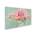 thumbnail image 3 of Trademark Fine Art 'Pink Roses' Canvas Art by Cora Niele, 3 of 4