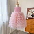 thumbnail image 2 of Zanarzt Baby Tutu Dress Toddler Girls Birthday Princess Dress Ruffle Sleeve Cake Smash Photo Shoot Outfit Pink,2-3 Years, 2 of 5
