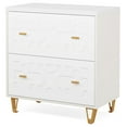 thumbnail image 4 of Topcobe 2-Drawer File Cabinet, Modern Storage Filing Cabinet Printer Stand, Modern Furniture for Indoor, 4 of 4