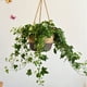 thumbnail image 4 of Cesta de pared tejida con paja - maceta de ratán de café - 19,69x7,87x5,12 pulgadas - Decoración para plantas y almacenamiento, 4 of 7