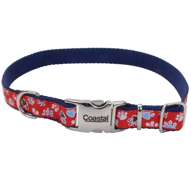 Collar para perro, cinta costera, hebilla metálica ajustable de 1,6 x 30 a 46 cm