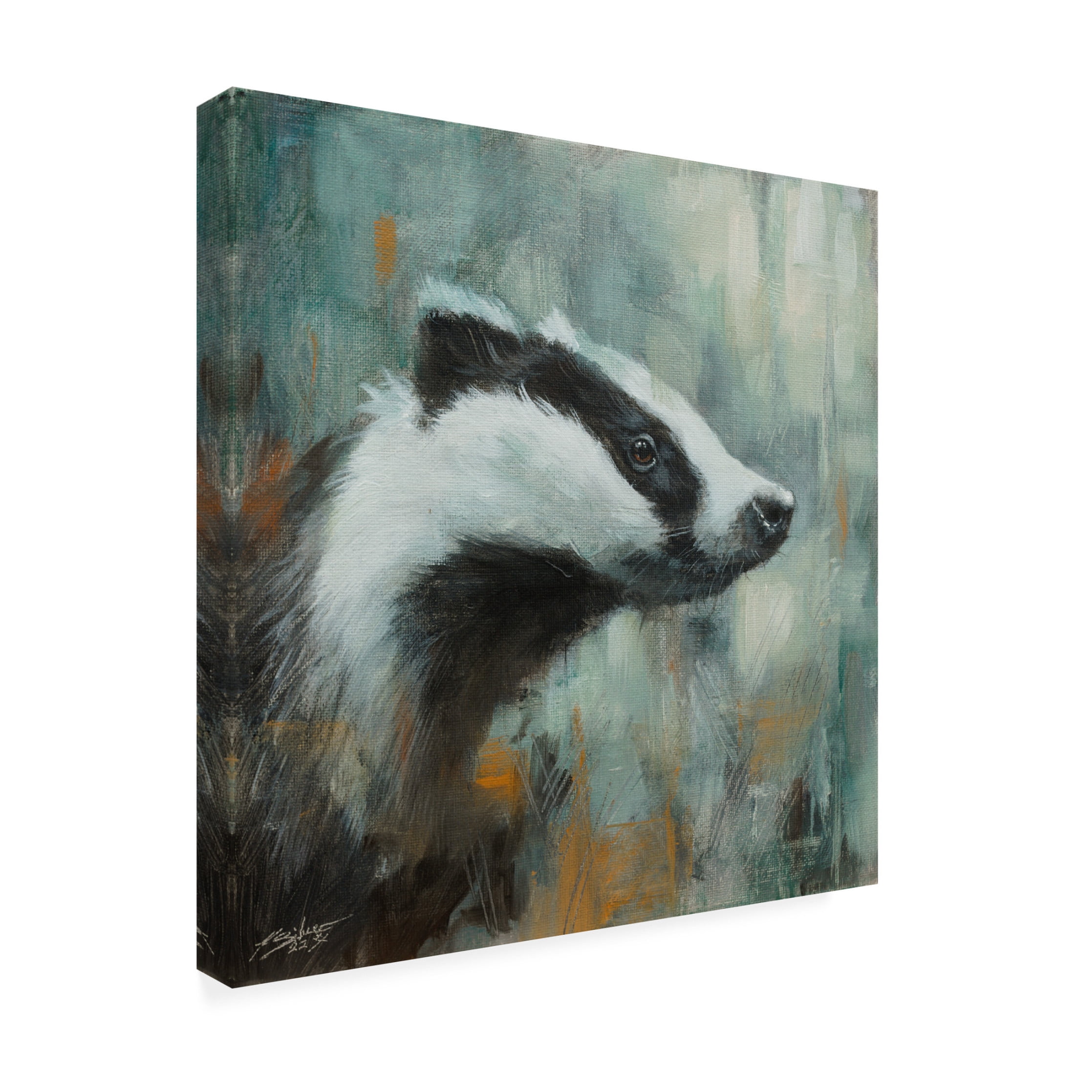 Canvas Wall Art - John Silver 'Badger' Wall Art for Living Room, Bedroom, or Office Décor by Trademark Fine Art - 14 x 14 Inches