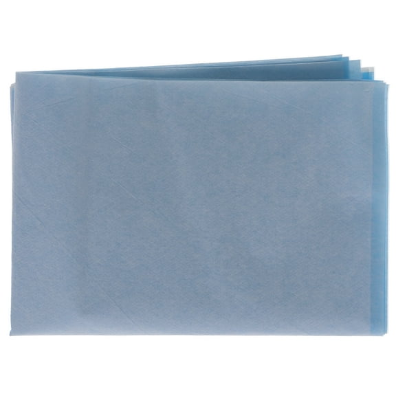 House Brand Dentistry 101128 Dental Headrest Covers Paper/Poly 10" X 13" Blue 500/Cs